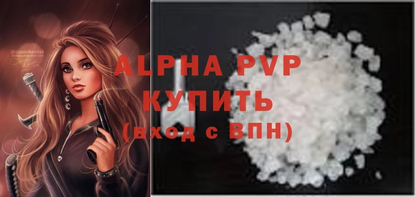 хмурый Белокуриха
