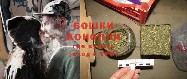 хмурый Белокуриха