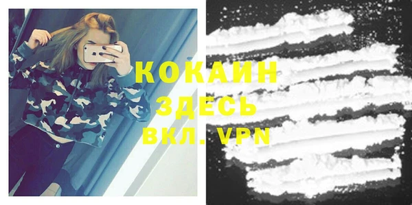 хмурый Белокуриха