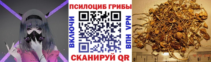 Псилоцибиновые грибы Psilocybe  наркошоп  МЕГА вход  Мичуринск 